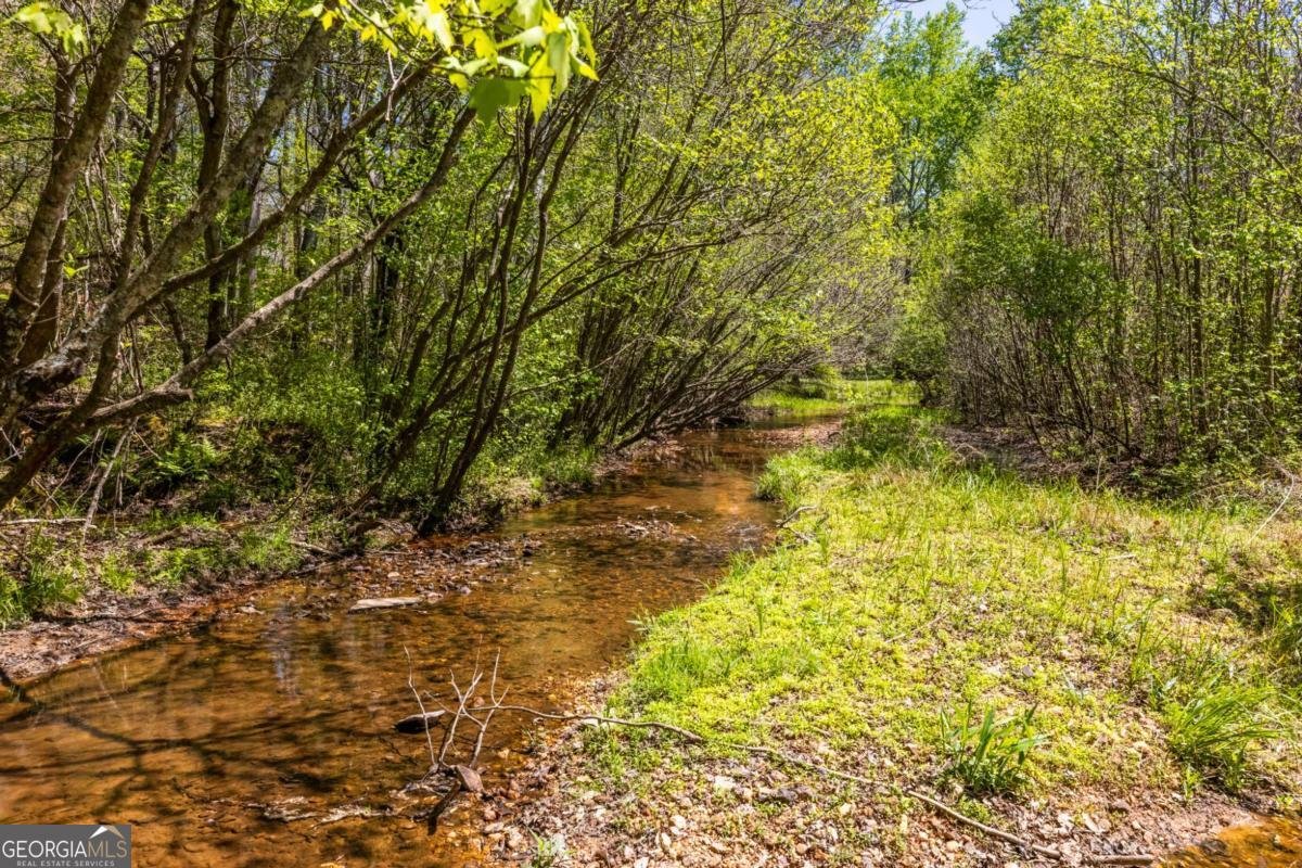 302 Pine Lake Drive Cumming - Photo 52