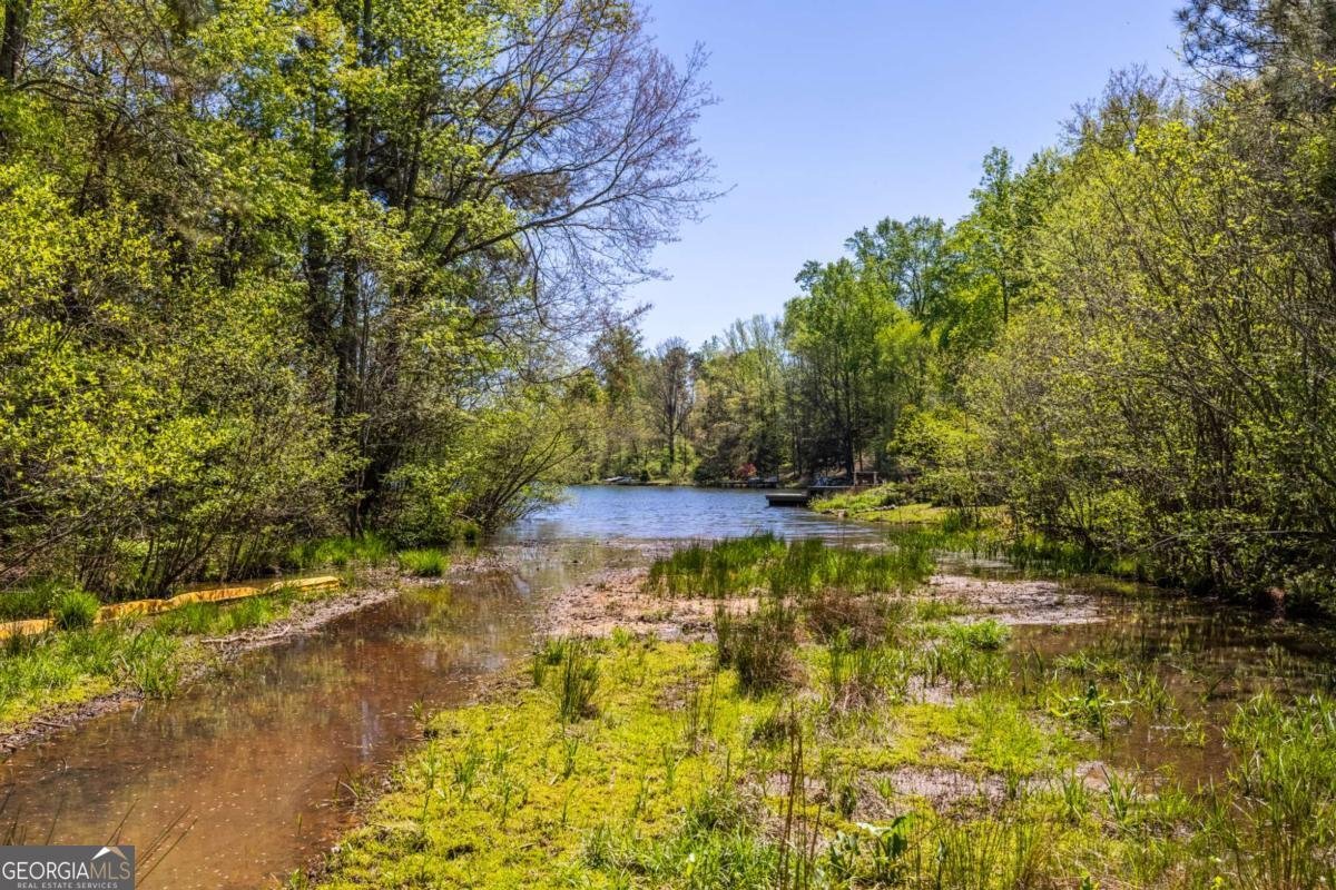 302 Pine Lake Drive Cumming - Photo 53