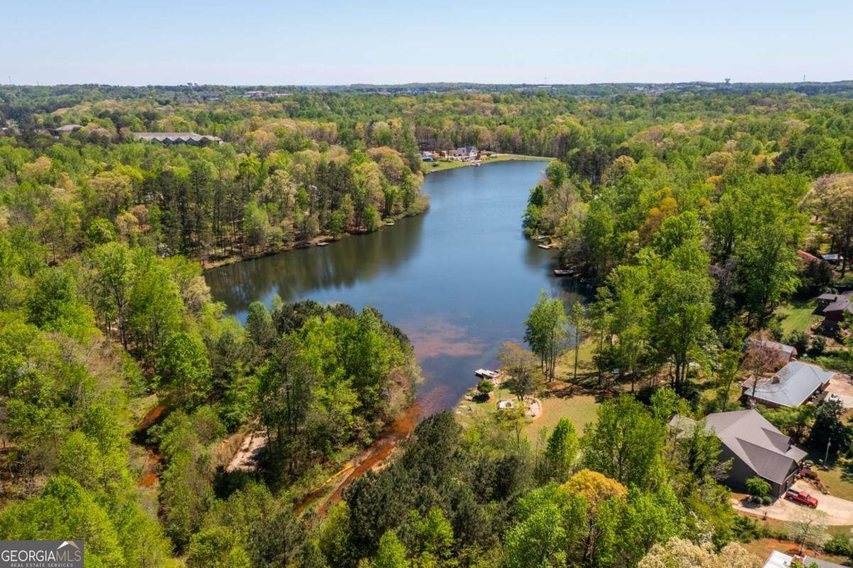 302 Pine Lake Drive Cumming - Photo 54