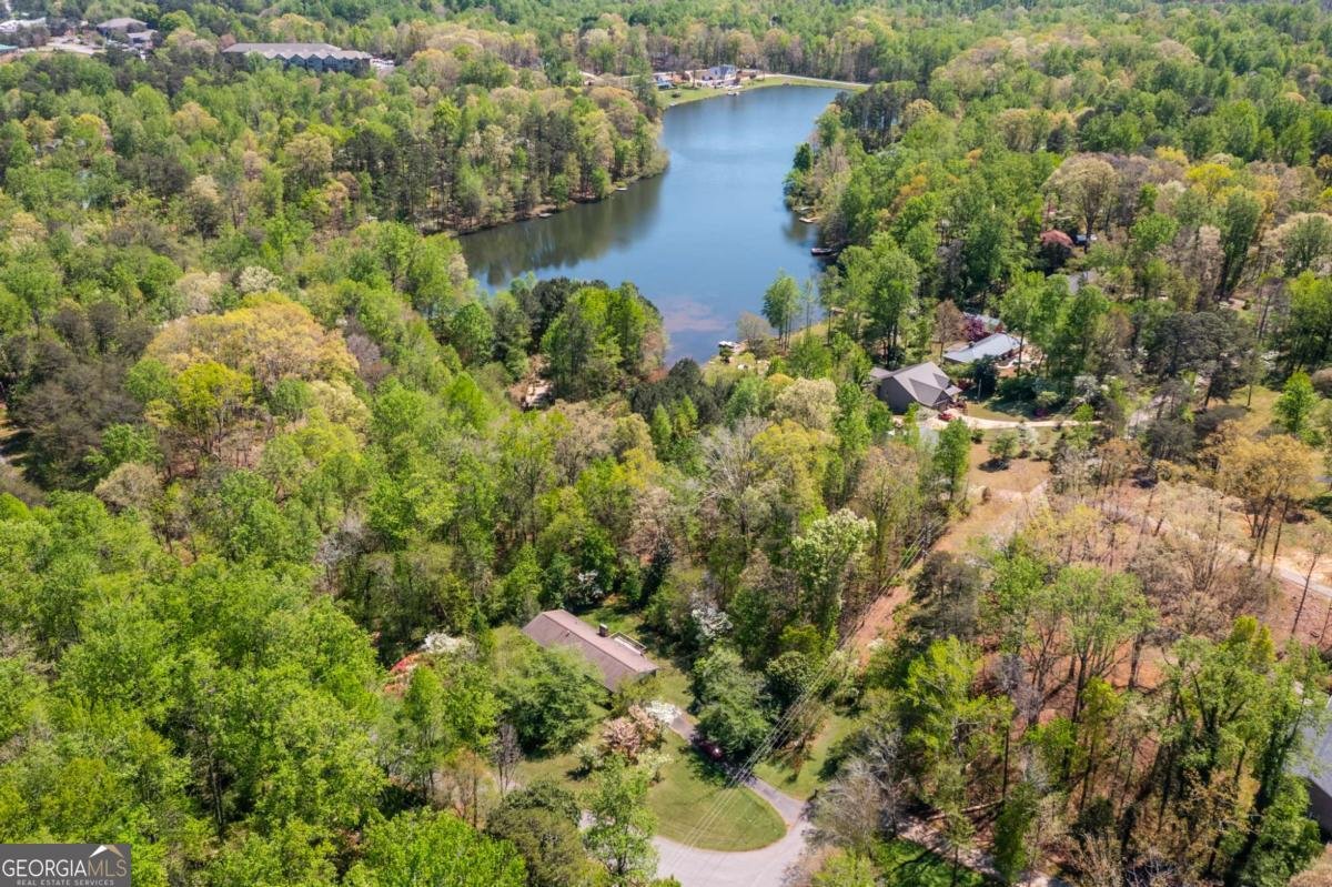 302 Pine Lake Drive Cumming - Photo 56