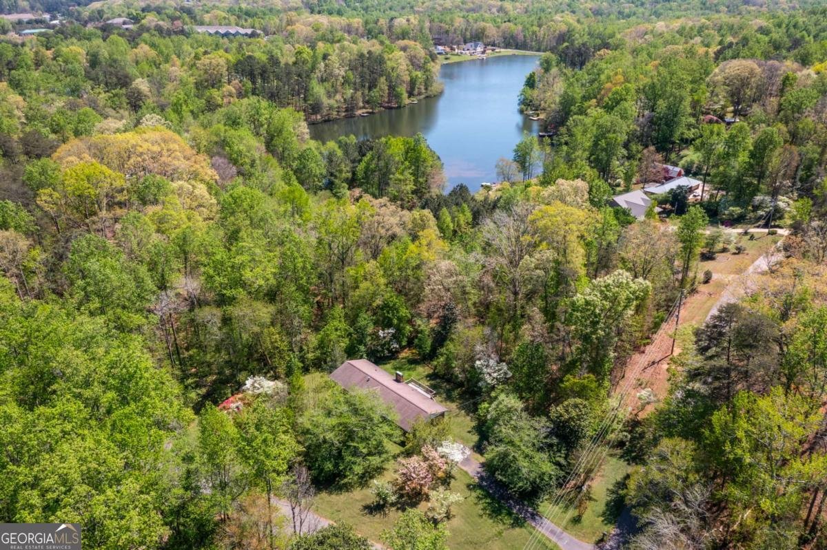 302 Pine Lake Drive Cumming - Photo 57