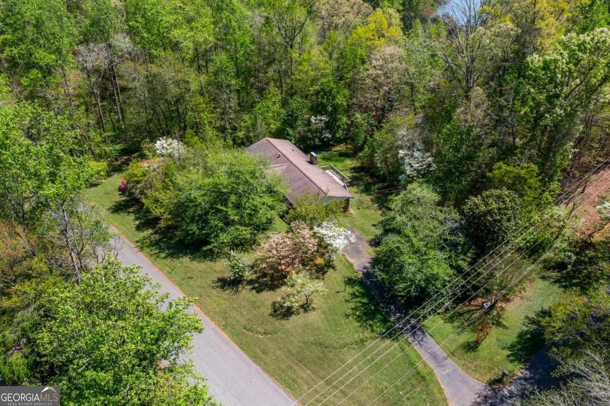 302 Pine Lake Drive Cumming - Photo 58