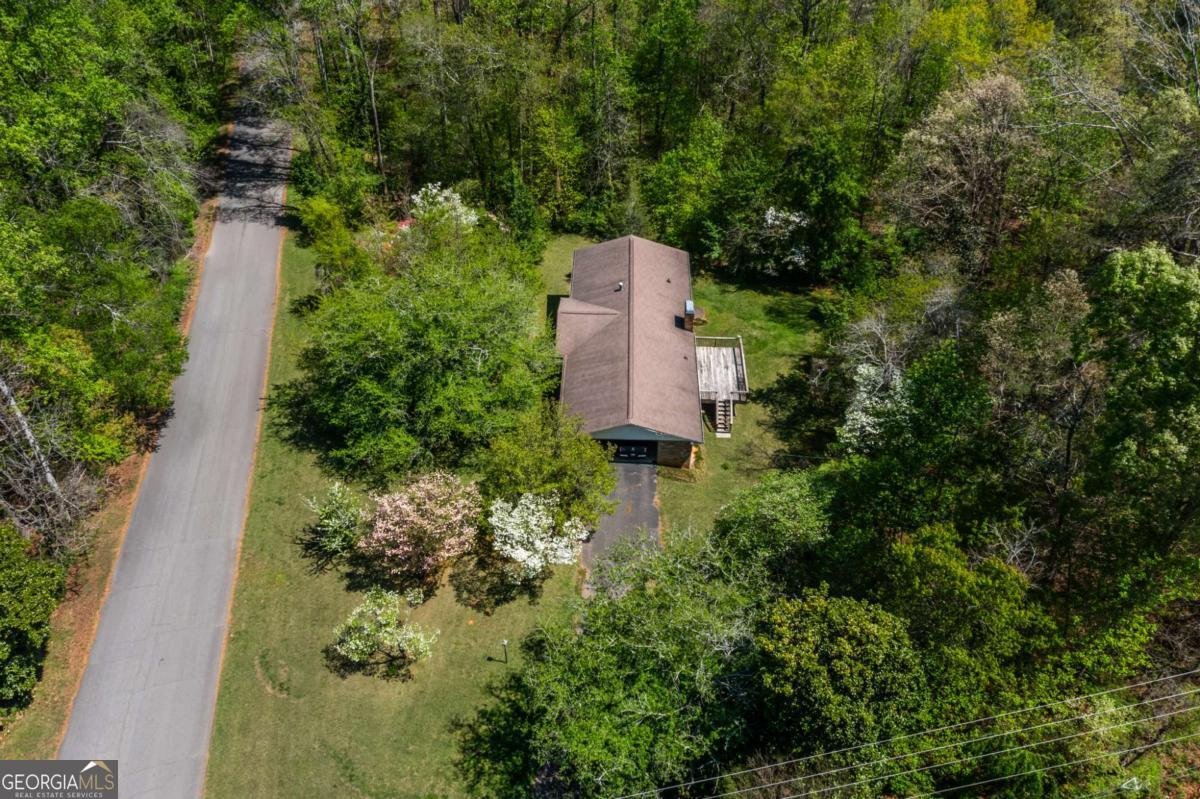 302 Pine Lake Drive Cumming - Photo 59