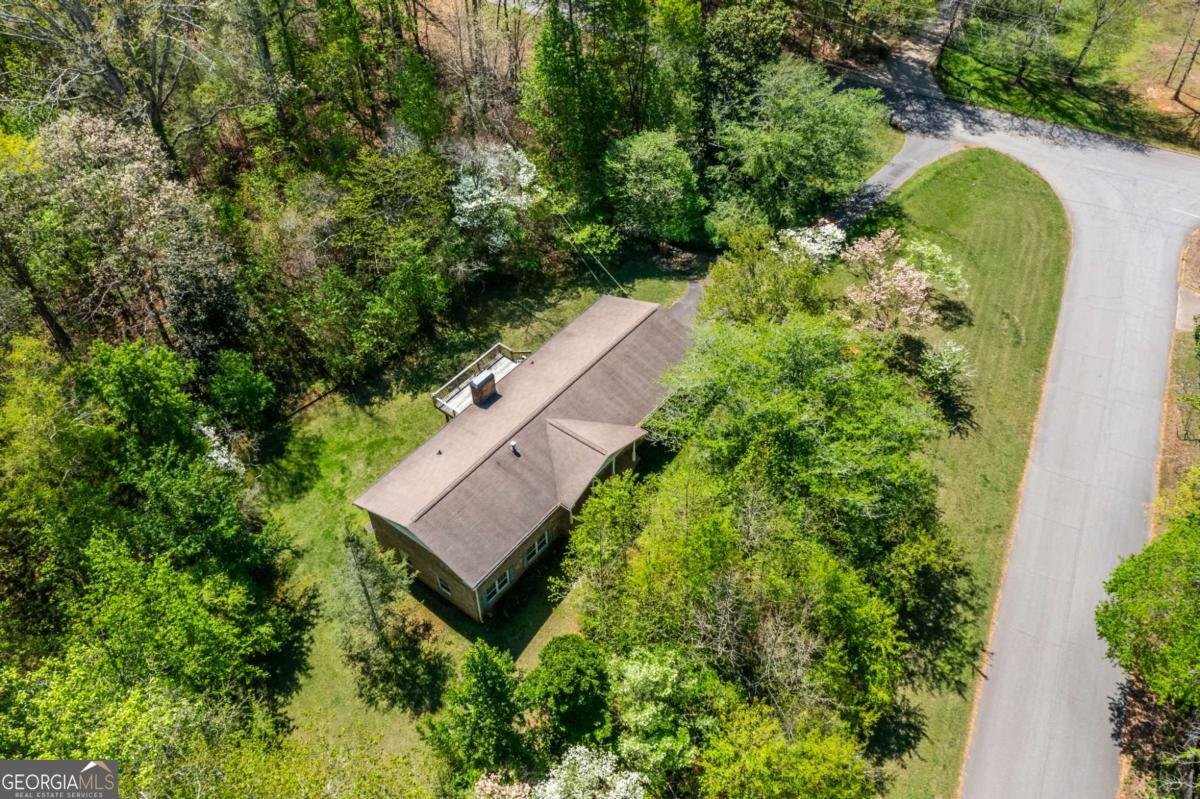 302 Pine Lake Drive Cumming - Photo 60