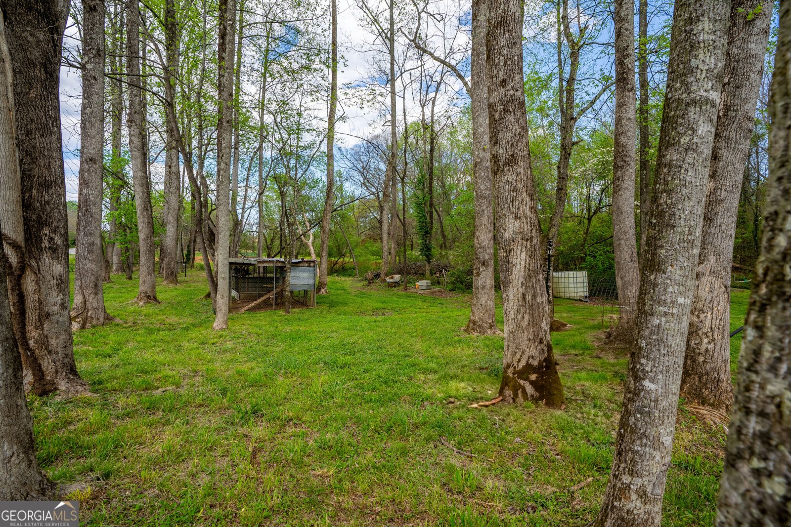 3296 Highway 115 Demorest - Photo 40