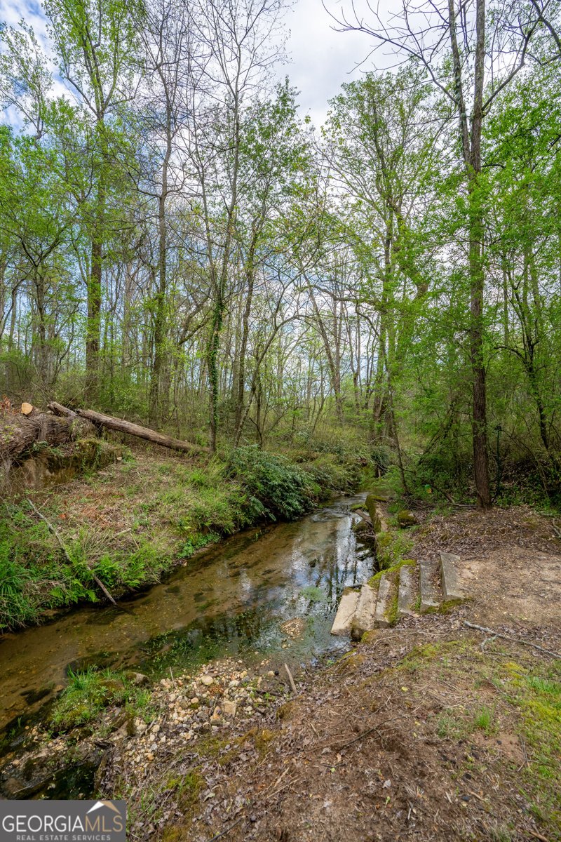 3296 Highway 115 Demorest - Photo 42