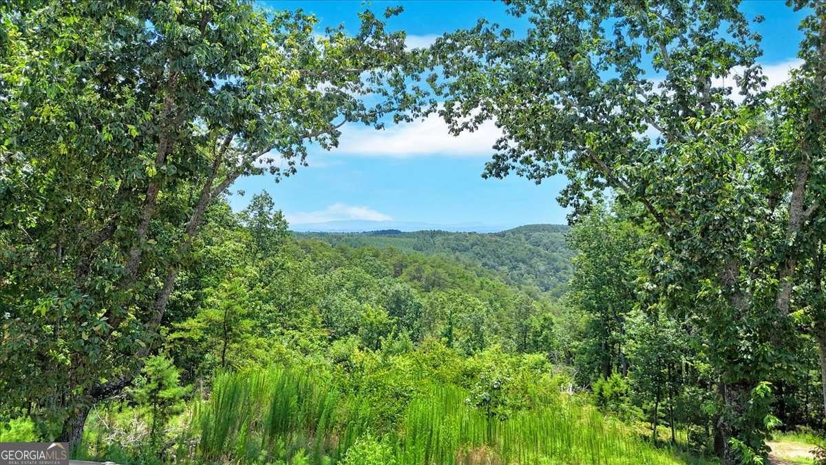 1528 Faith Court Ranger - Photo 48