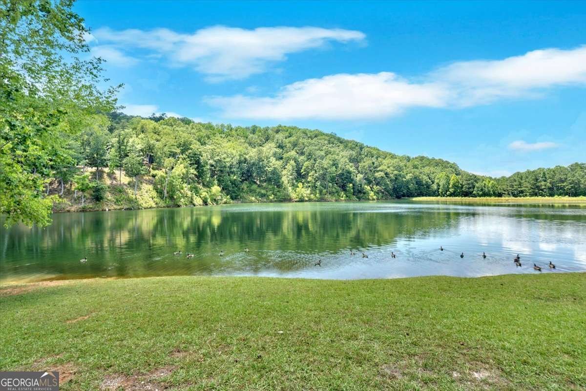 1528 Faith Court Ranger - Photo 60