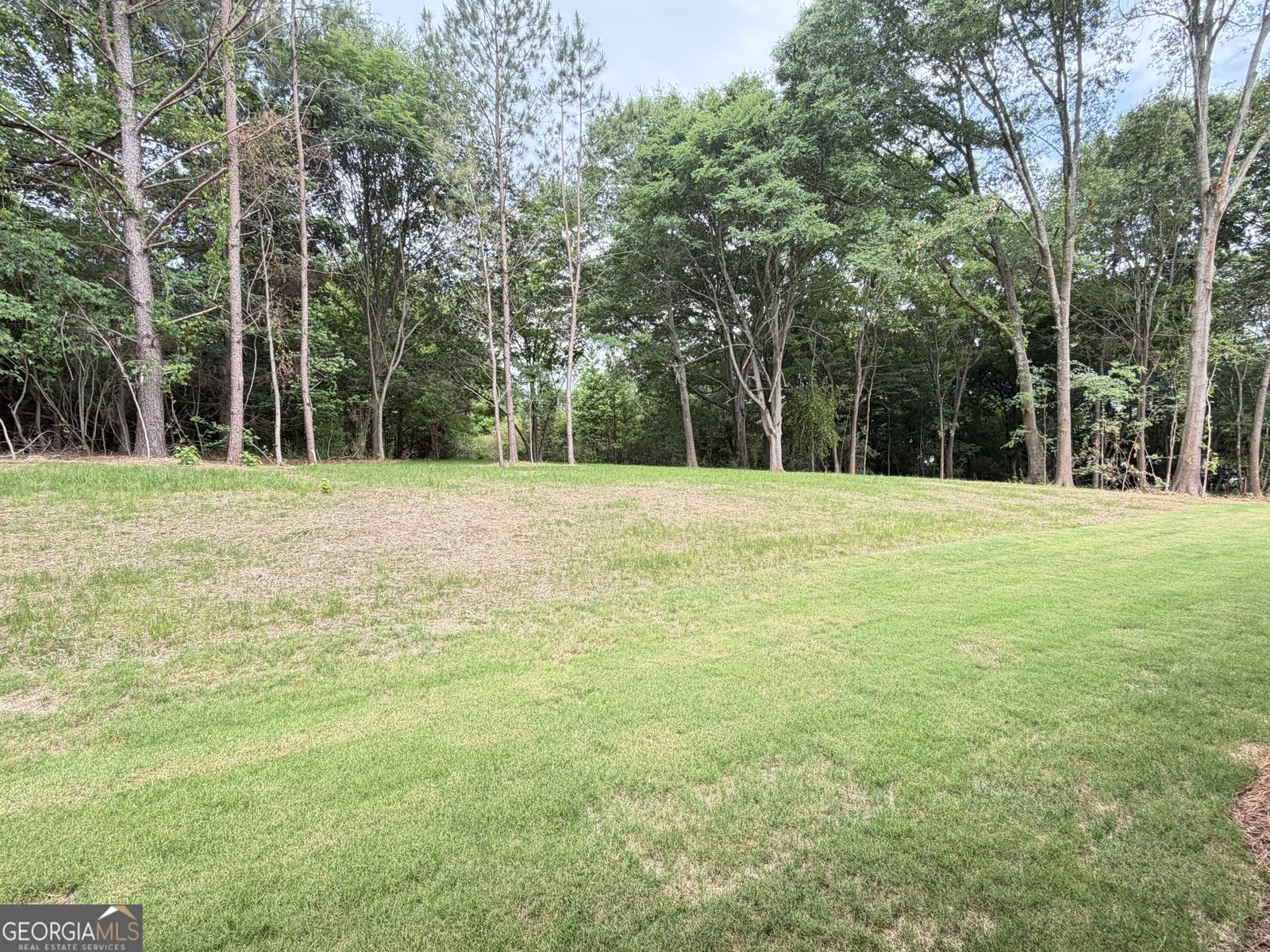 144 Holders Siding Road Jefferson - Photo 46