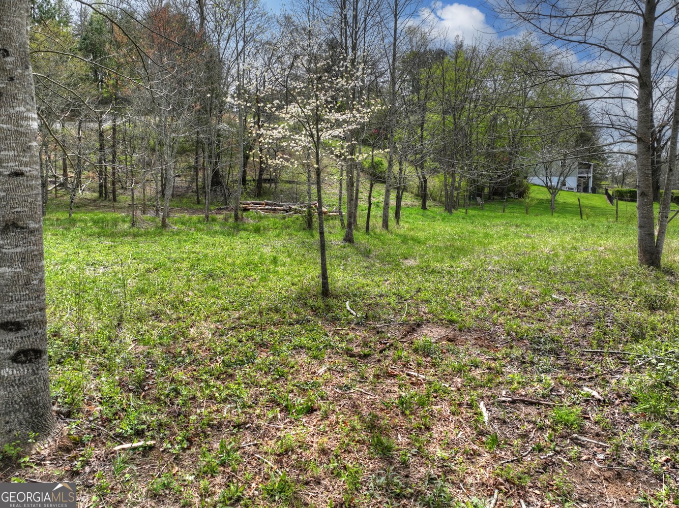 139 Cedar Lane Blairsville - Photo 10