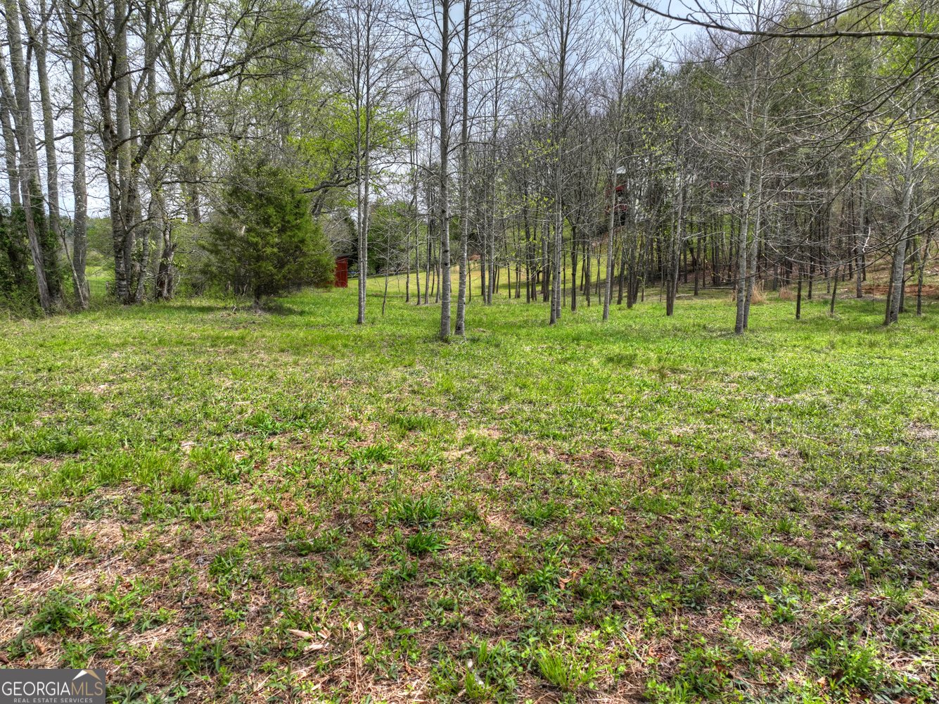 139 Cedar Lane Blairsville - Photo 11