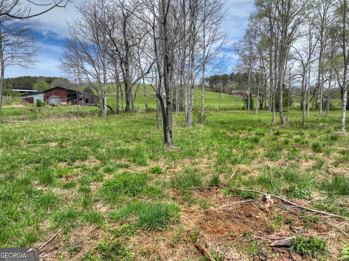 139 Cedar Lane Blairsville - Photo 12