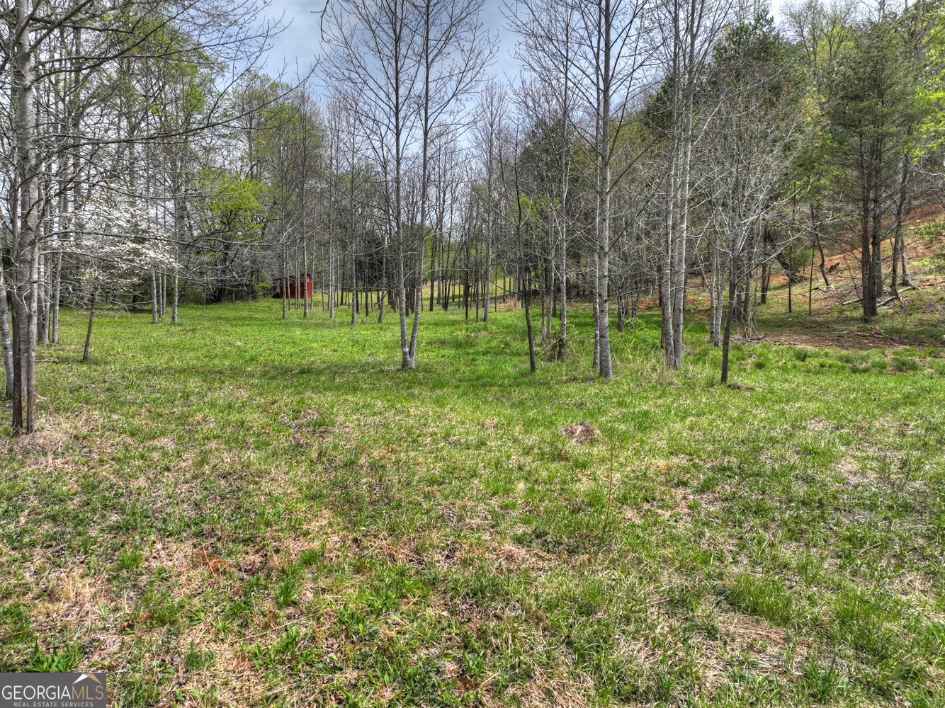 139 Cedar Lane Blairsville - Photo 13