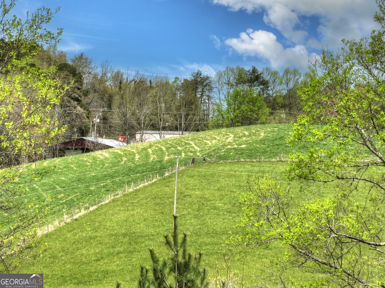 139 Cedar Lane Blairsville - Photo 19