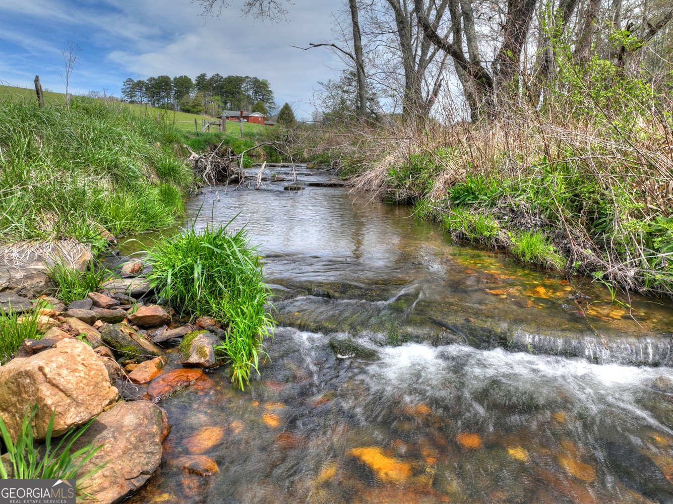139 Cedar Lane Blairsville - Photo 31