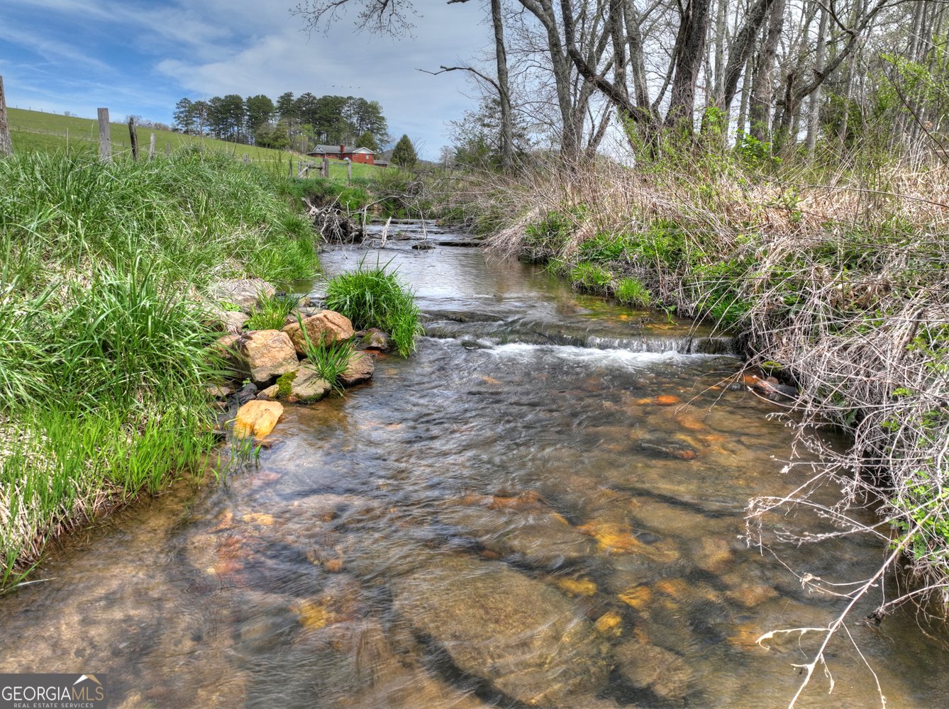 139 Cedar Lane Blairsville - Photo 32