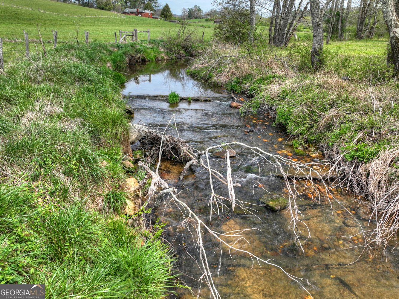 139 Cedar Lane Blairsville - Photo 33
