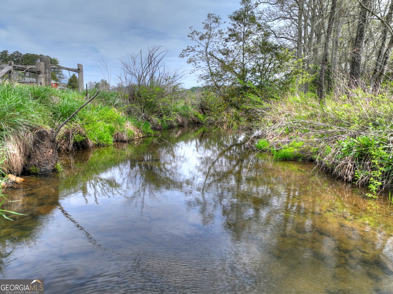 139 Cedar Lane Blairsville - Photo 34
