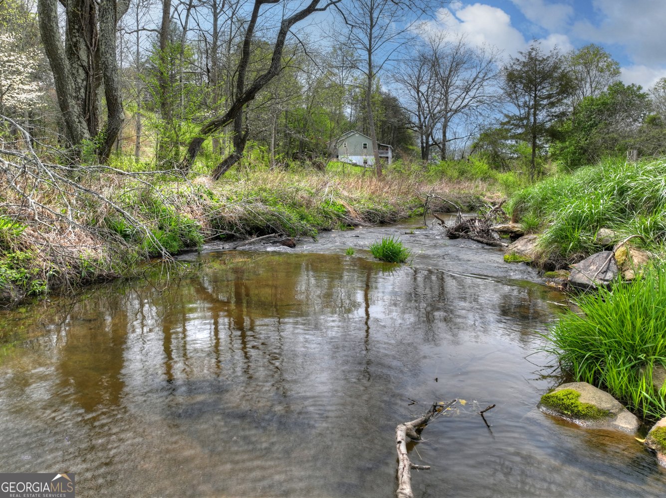 139 Cedar Lane Blairsville - Photo 35