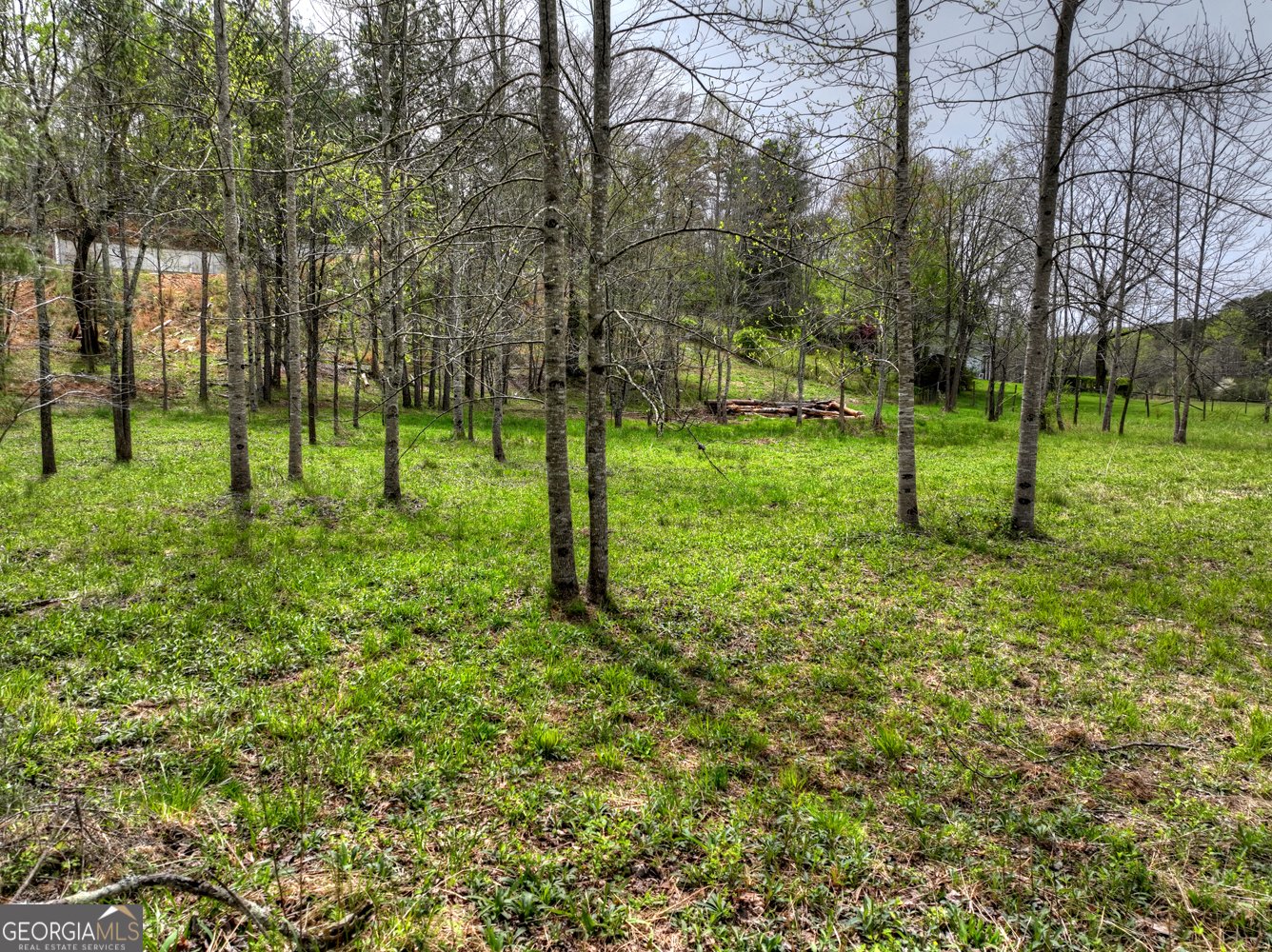 139 Cedar Lane Blairsville - Photo 37