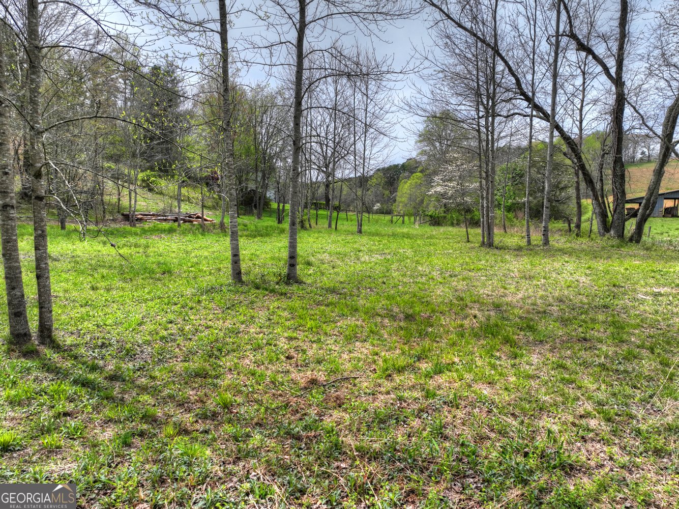 139 Cedar Lane Blairsville - Photo 38