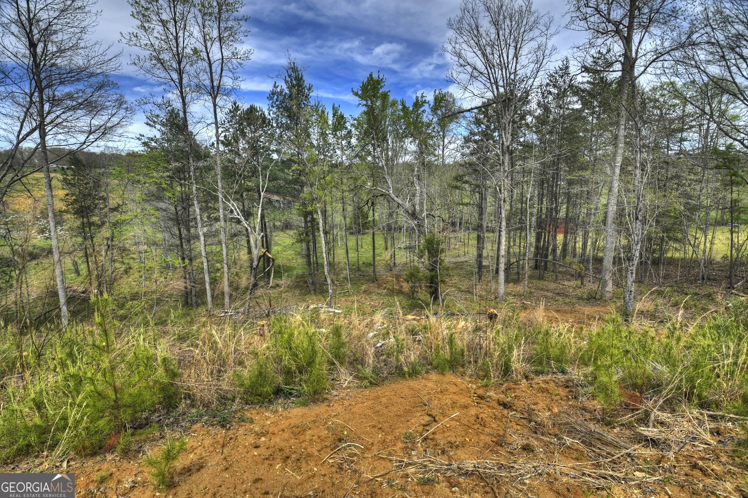 139 Cedar Lane Blairsville - Photo 6