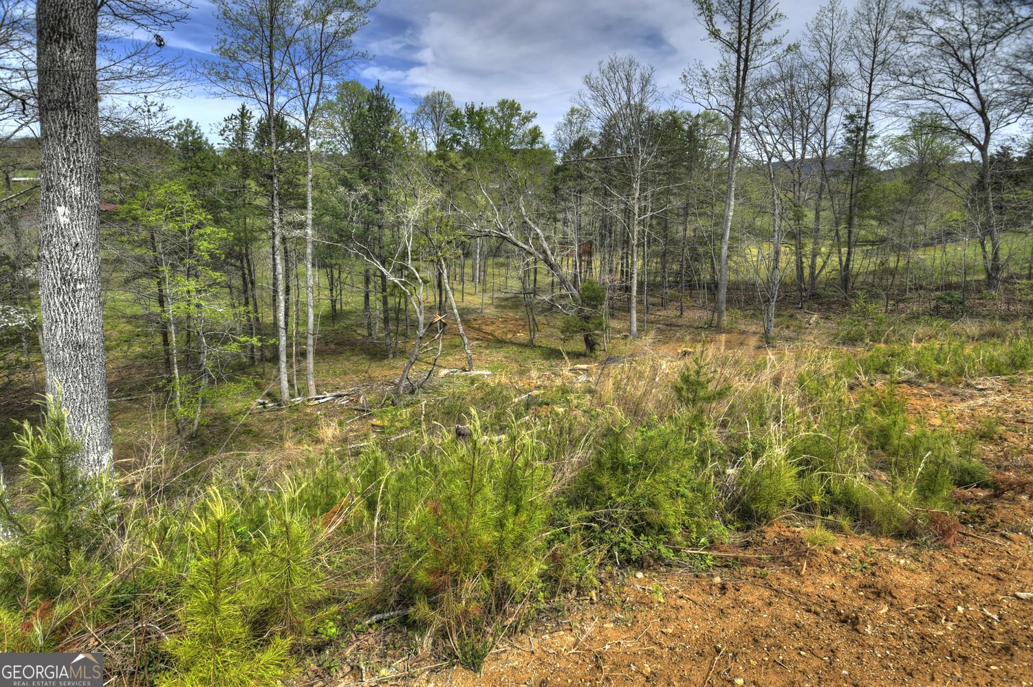 139 Cedar Lane Blairsville - Photo 9