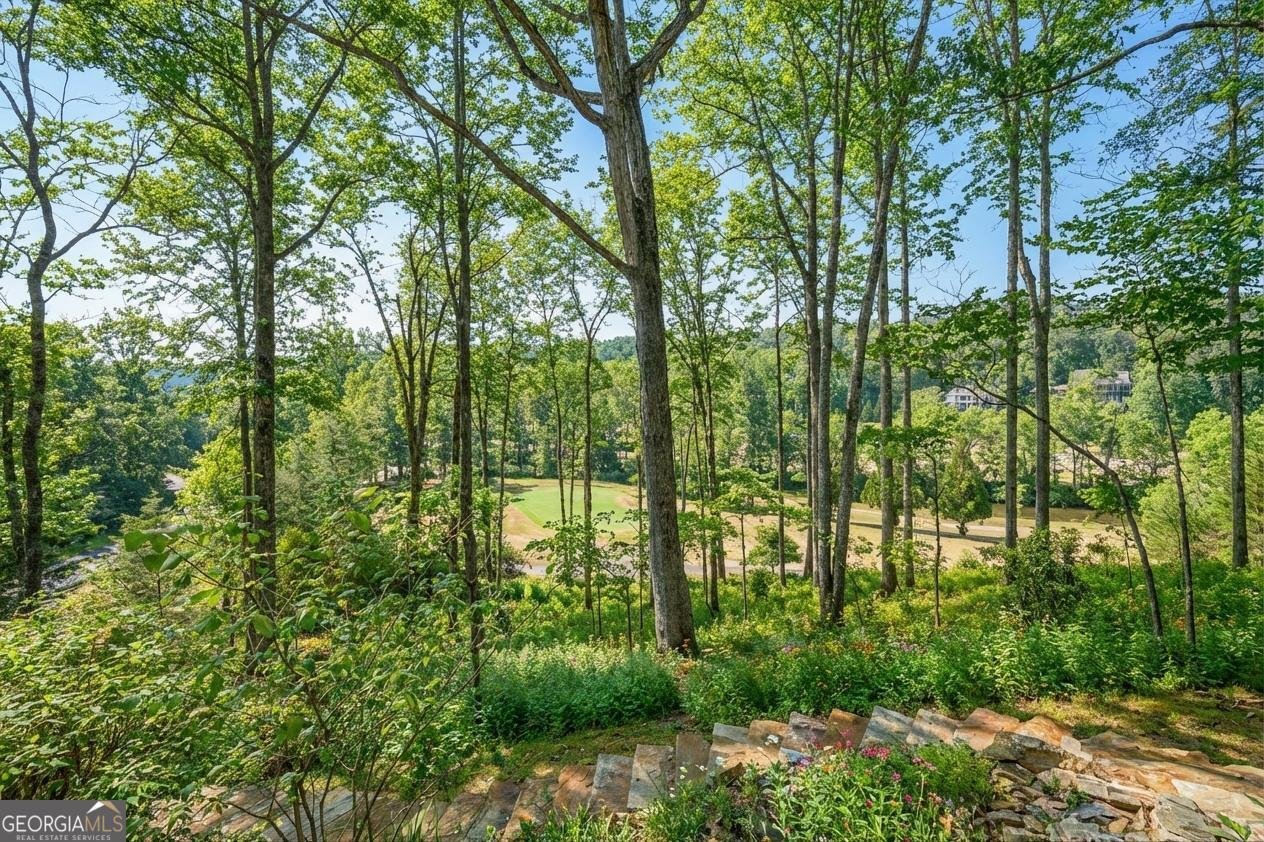 1259 Birch River Drive Dahlonega - Photo 44