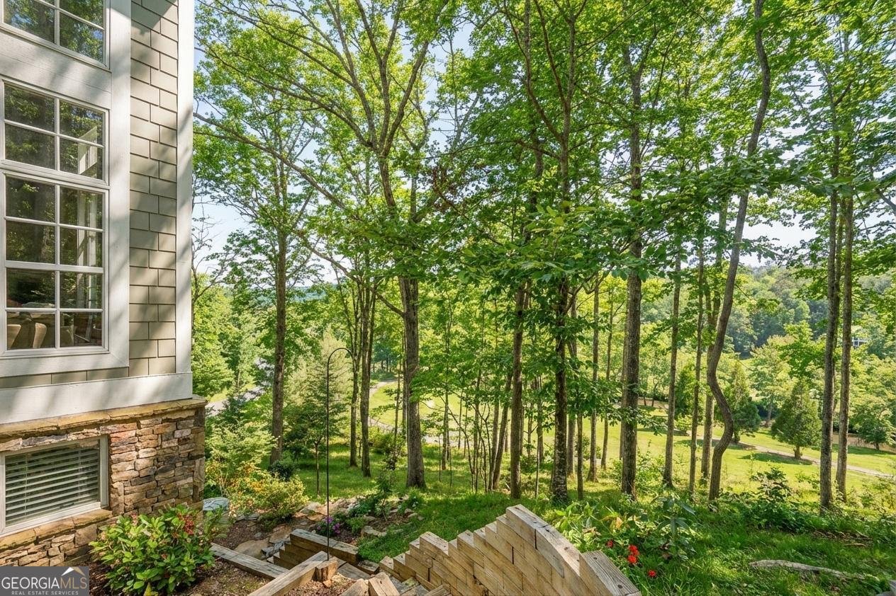 1259 Birch River Drive Dahlonega - Photo 45