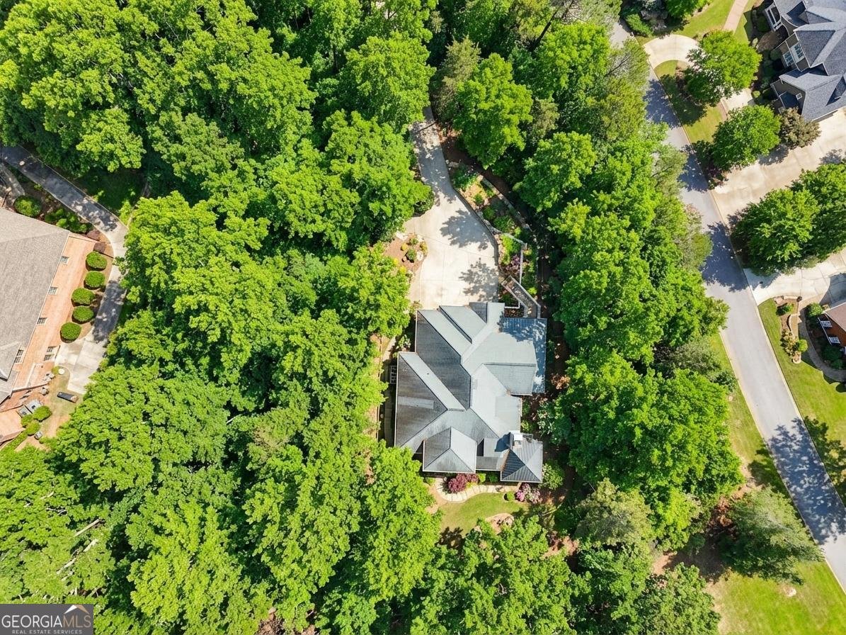 1259 Birch River Drive Dahlonega - Photo 53