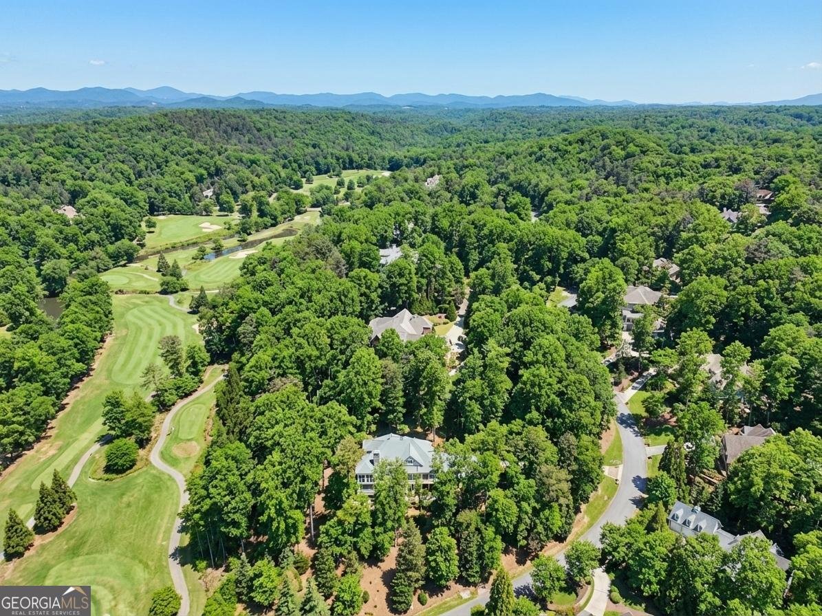 1259 Birch River Drive Dahlonega - Photo 54