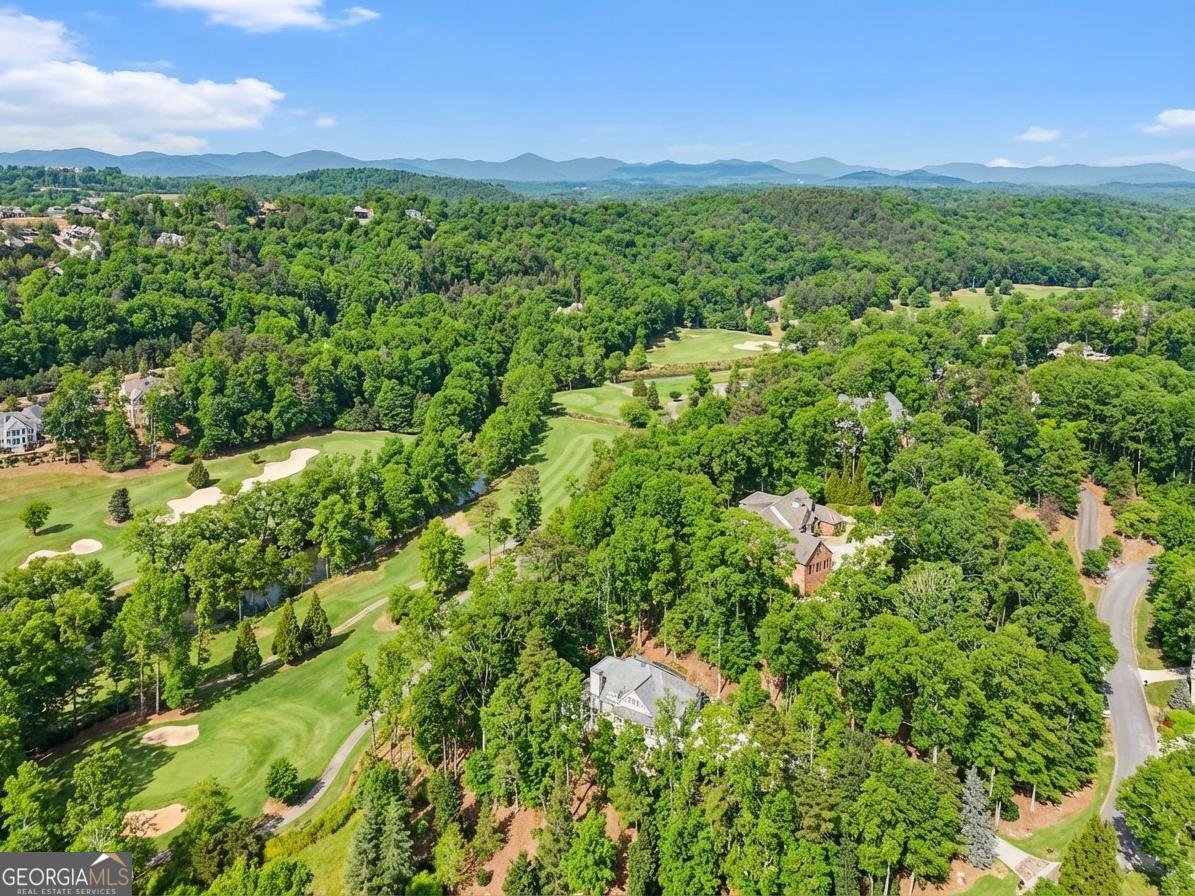 1259 Birch River Drive Dahlonega - Photo 56