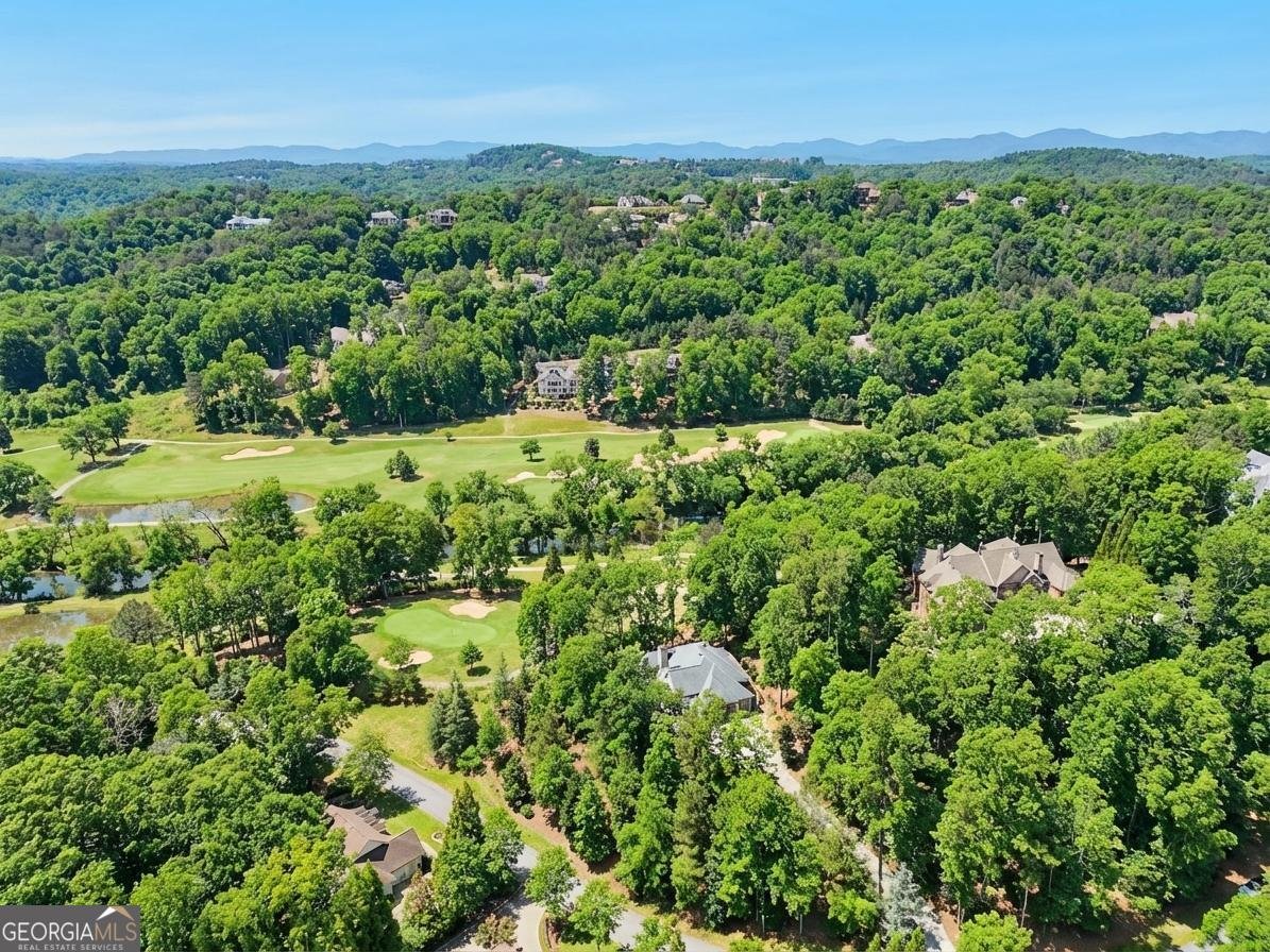 1259 Birch River Drive Dahlonega - Photo 57