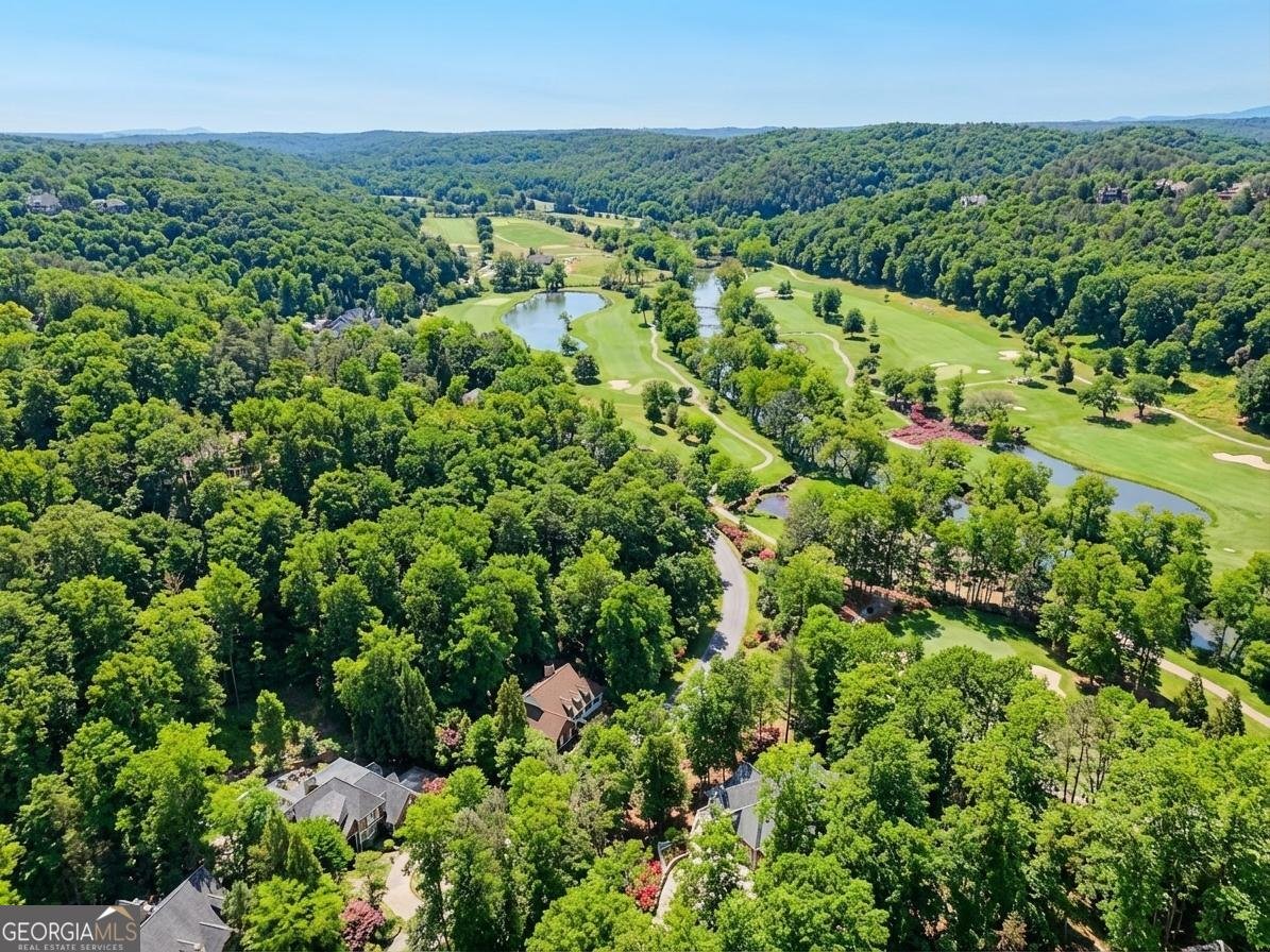 1259 Birch River Drive Dahlonega - Photo 58