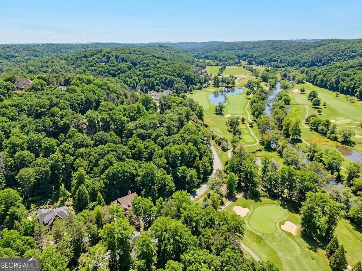 1259 Birch River Drive Dahlonega - Photo 59