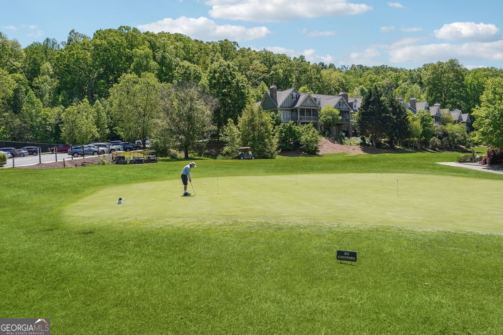 1259 Birch River Drive Dahlonega - Photo 81