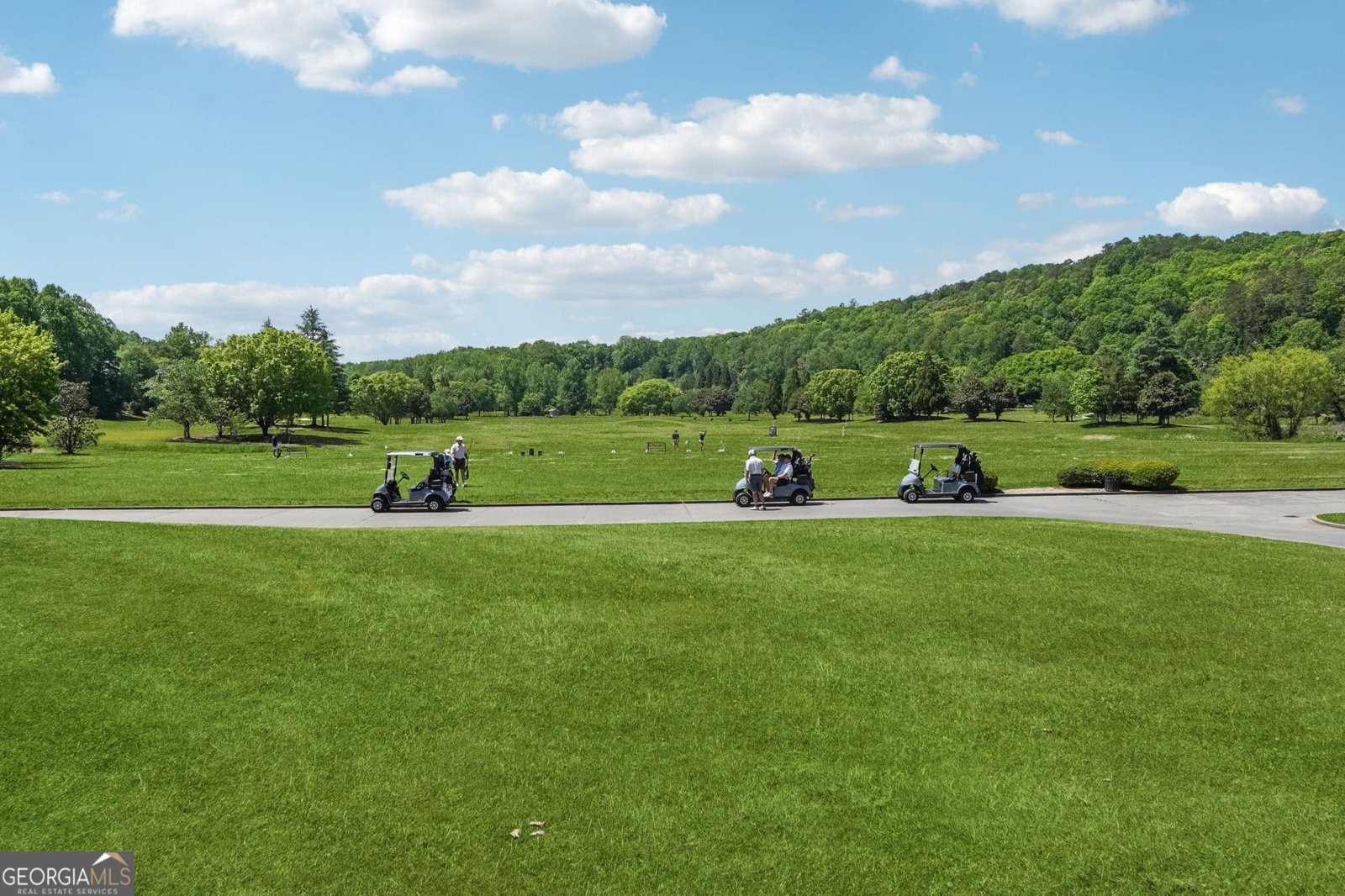 1259 Birch River Drive Dahlonega - Photo 82