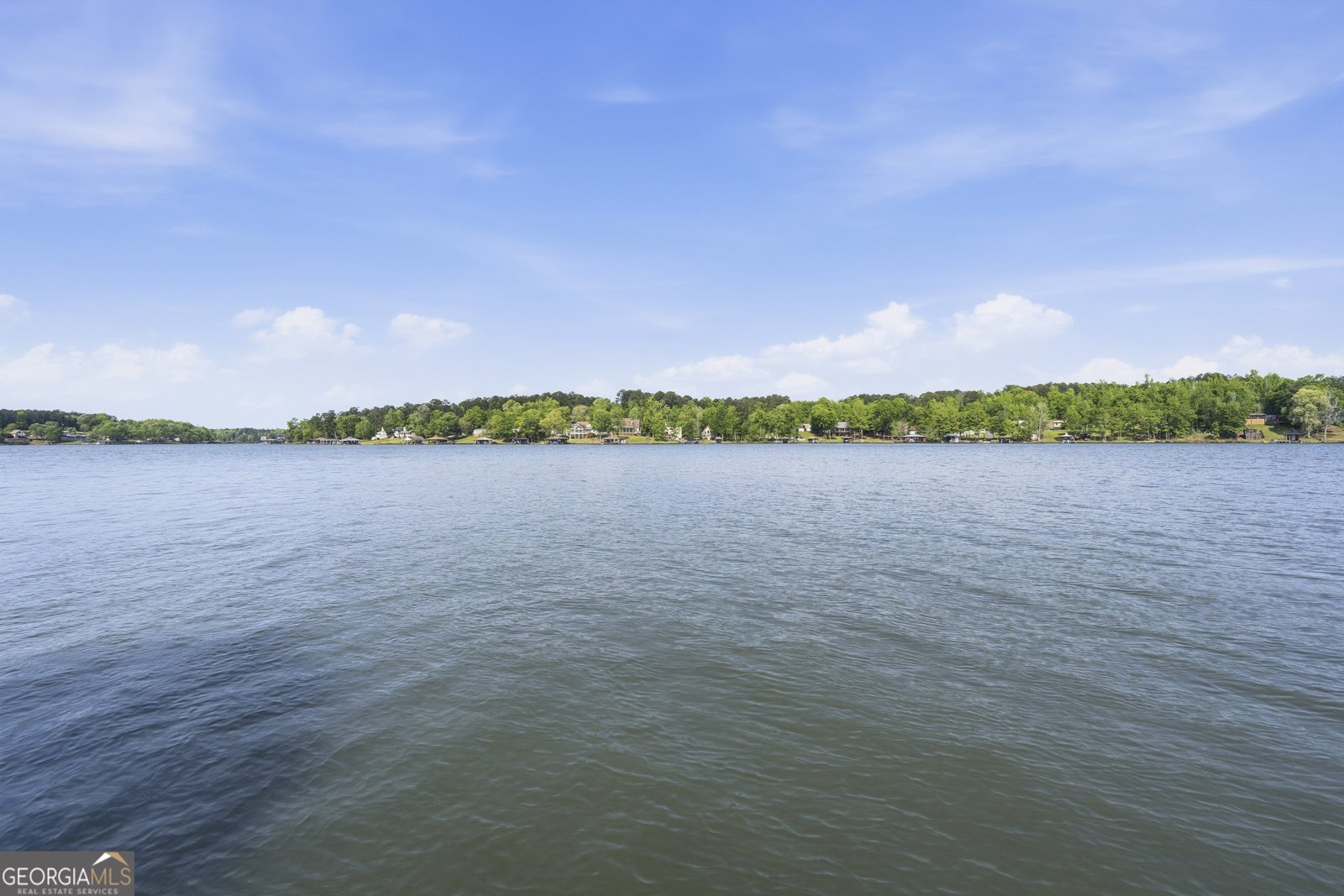 57 Birch Lane Sparta - Photo 54