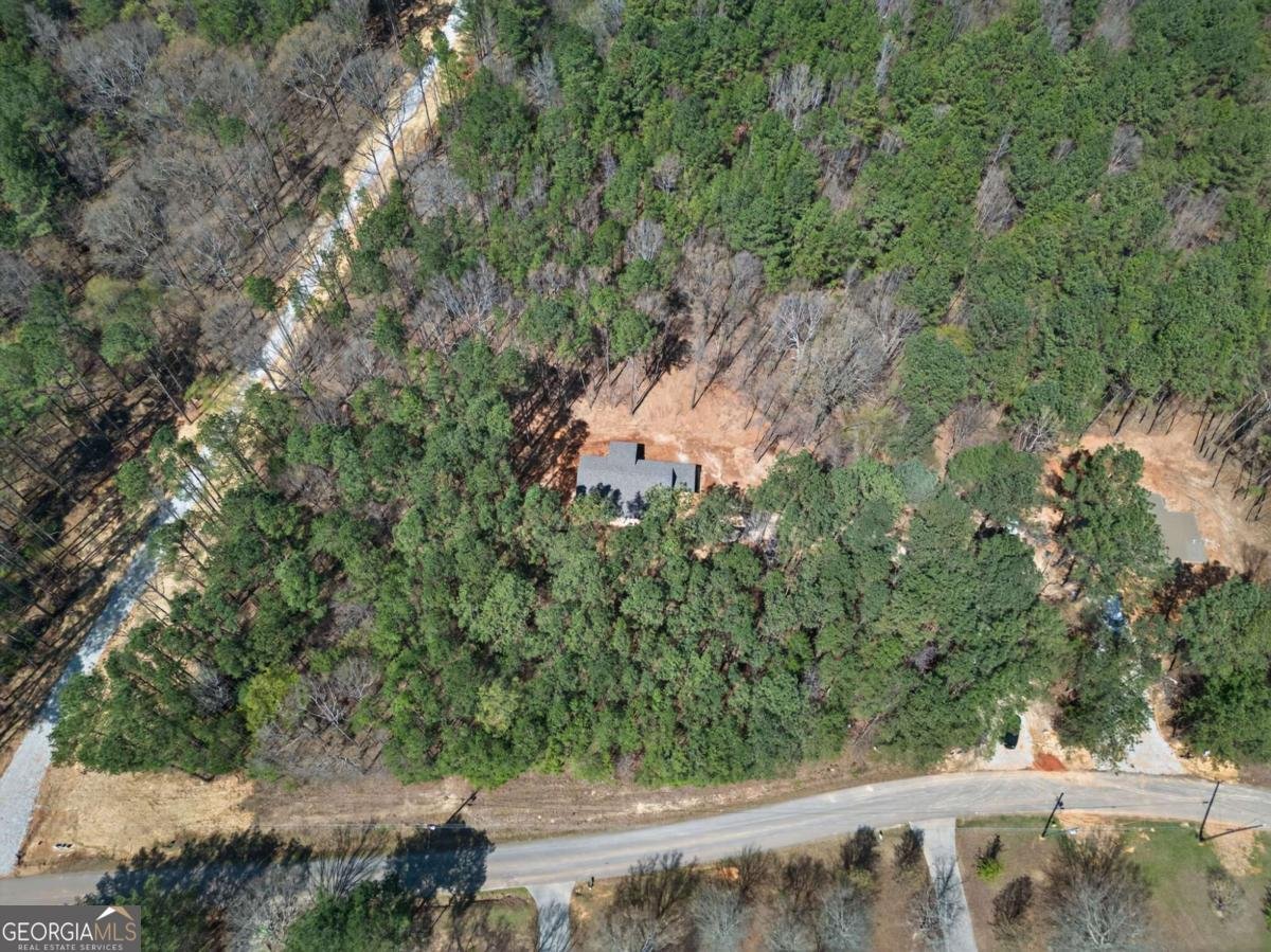 1071 Drummond Road Lindale - Photo 35