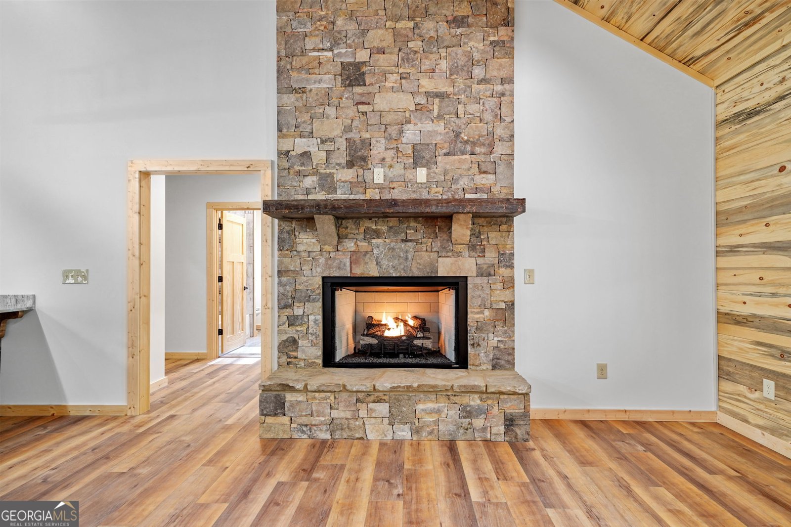 641 Bryant Farm Lane Ellijay - Photo 19