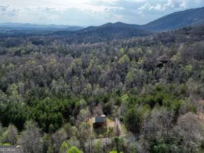 315 Hidden Branch Drive Young Harris - Photo 38