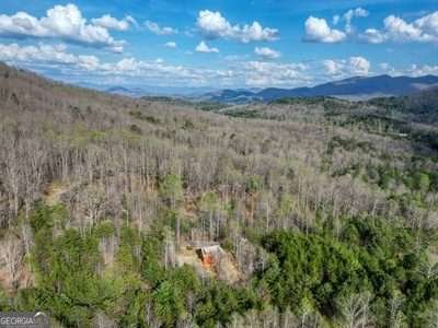 315 Hidden Branch Drive Young Harris - Photo 40