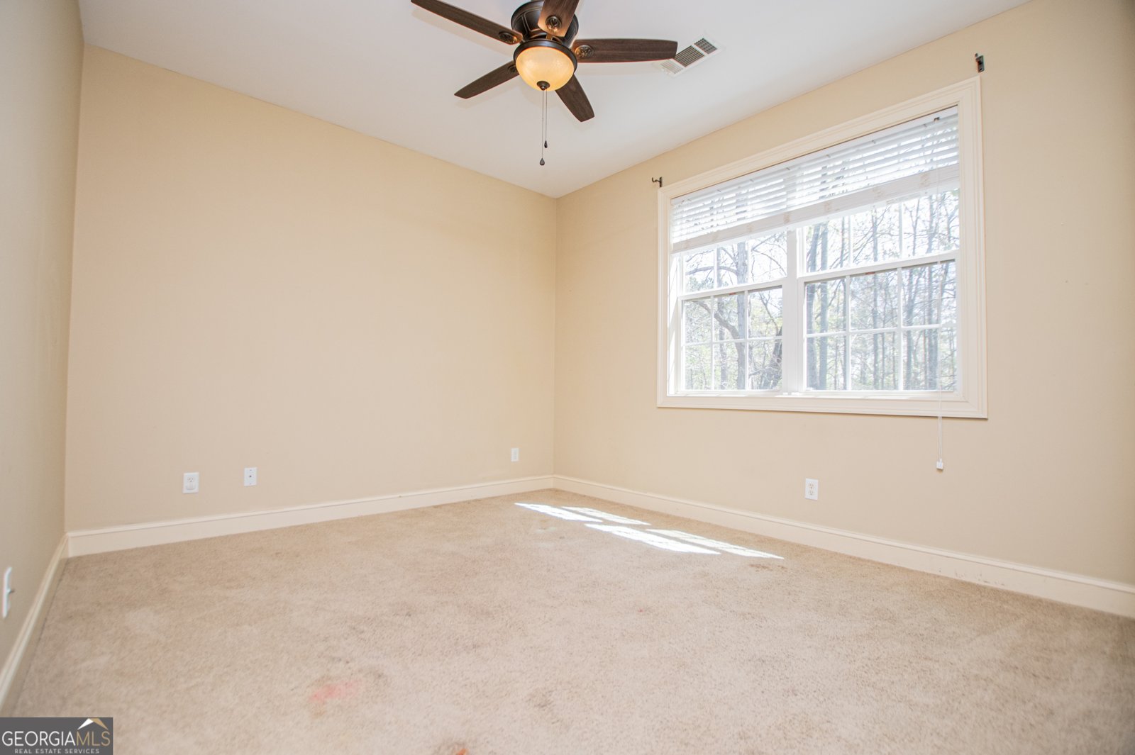 9731 Fallview Court Villa Rica - Photo 35