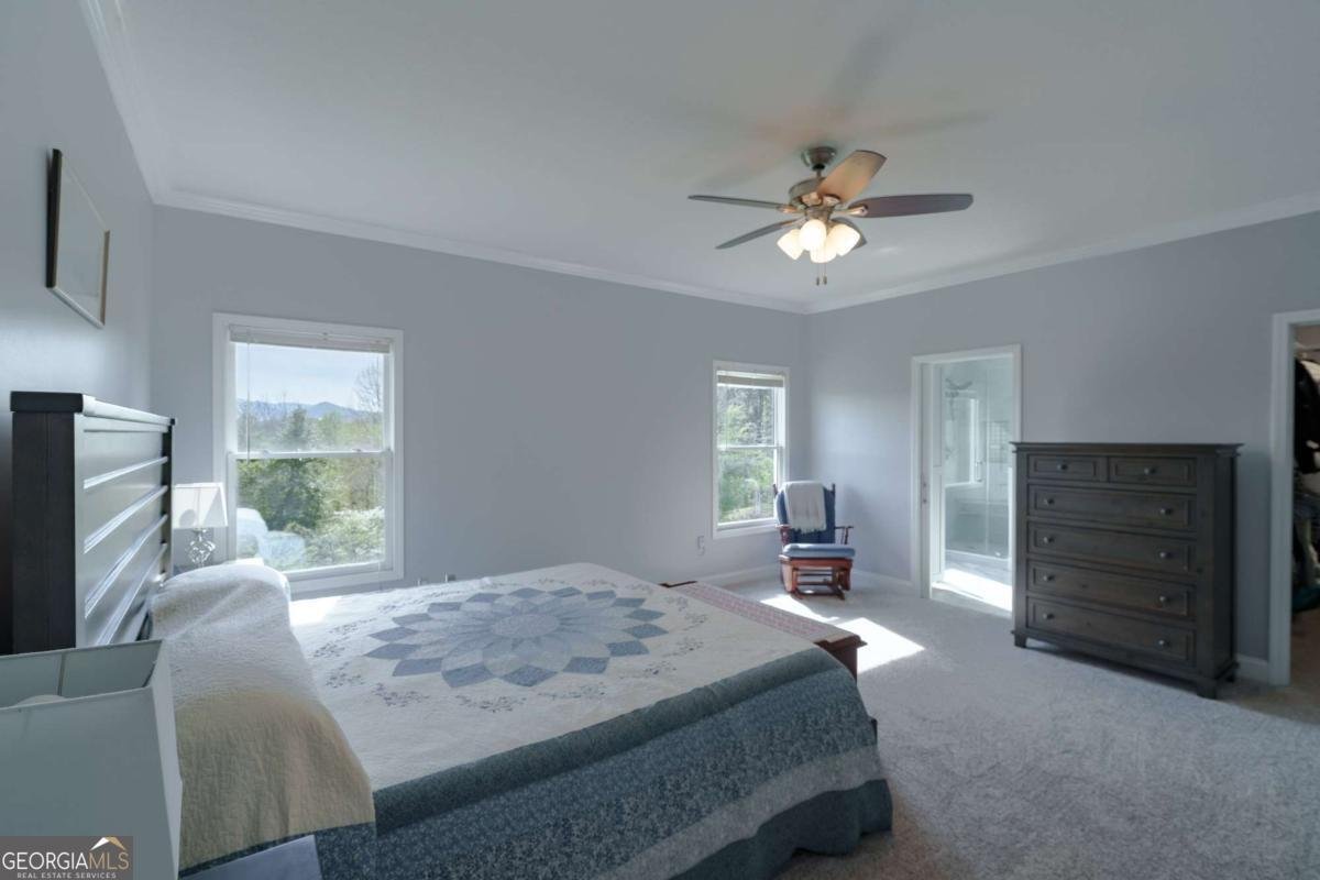 210 Canal Lake Road Blairsville - Photo 29