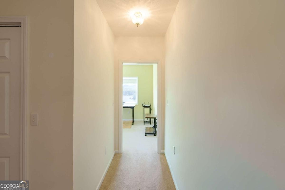 210 Canal Lake Road Blairsville - Photo 51