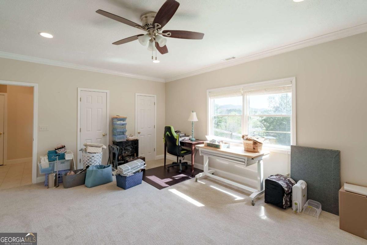 210 Canal Lake Road Blairsville - Photo 61