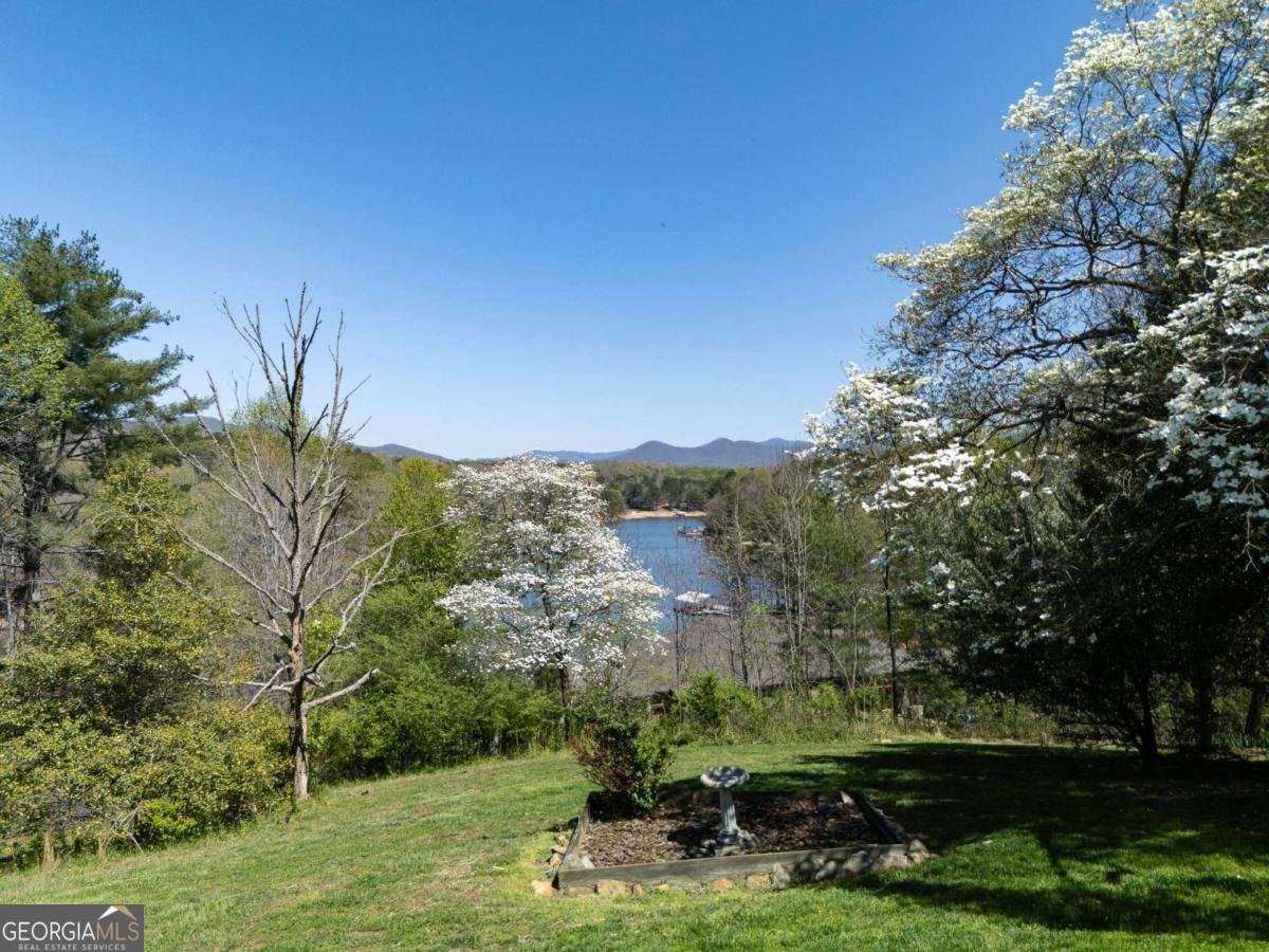 210 Canal Lake Road Blairsville - Photo 74