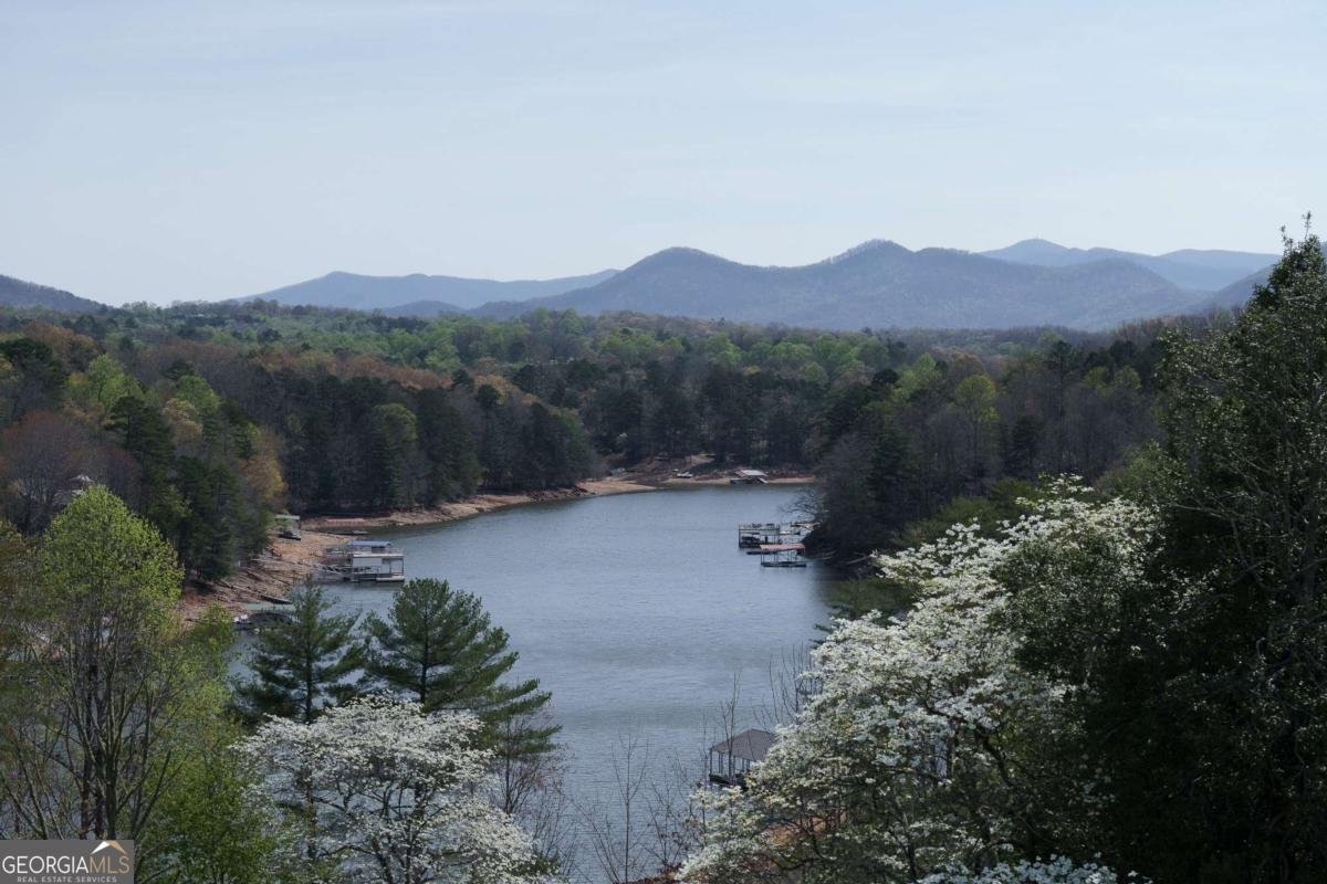 210 Canal Lake Road Blairsville - Photo 75