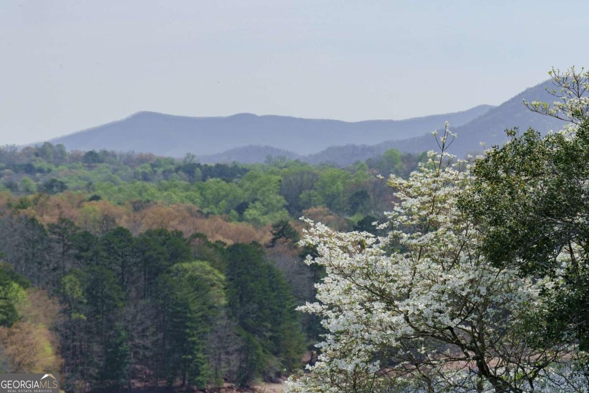 210 Canal Lake Road Blairsville - Photo 76