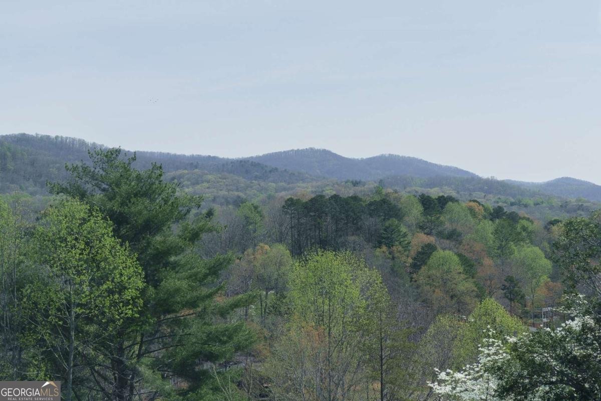 210 Canal Lake Road Blairsville - Photo 77